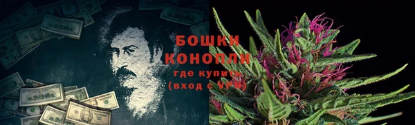 бошки Волоколамск