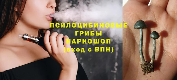 бошки Волоколамск