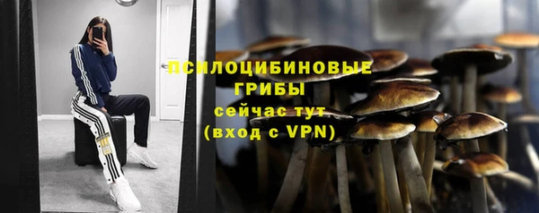 прущие грибы Володарск