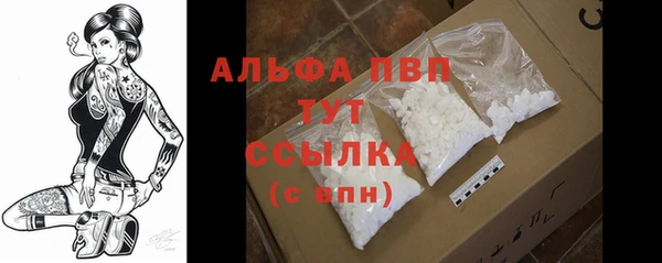 прущие грибы Володарск