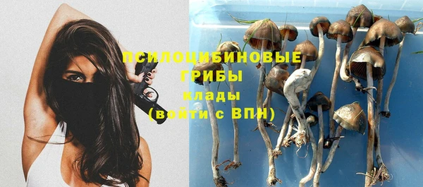 бошки Волоколамск