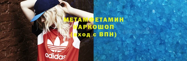прущие грибы Володарск