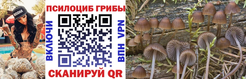 как найти наркотики  Южно-Сахалинск  Галлюциногенные грибы мухоморы 